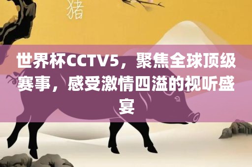 世界杯CCTV5，聚焦全球顶级赛事，感受激情四溢的视听盛宴