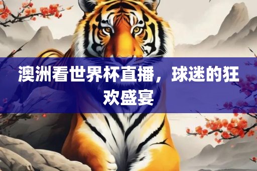 澳洲看世界杯直播，球迷的狂欢盛宴