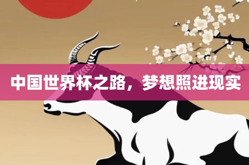 中国世界杯之路，梦想照进现实