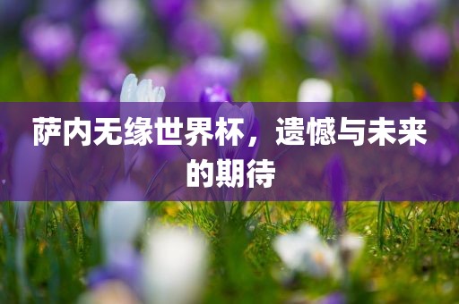 萨内无缘世界杯，遗憾与未来的期待
