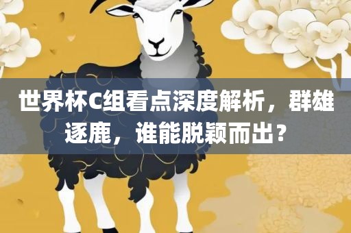 世界杯C组看点深度解析，群雄逐鹿，谁能脱颖而出？