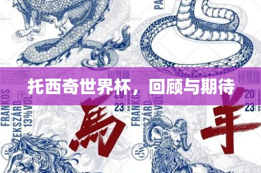 托西奇世界杯，回顾与期待