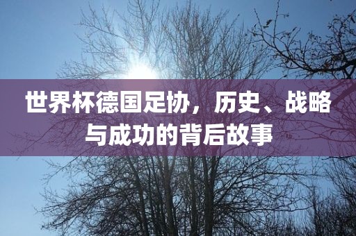 世界杯德国足协，历史、战略与成功的背后故事