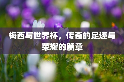梅西与世界杯，传奇的足迹与荣耀的篇章