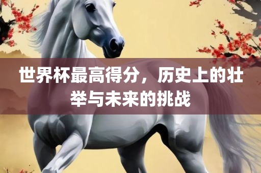 世界杯最高得分，历史上的壮举与未来的挑战