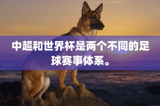 中超和世界杯是两个不同的足球赛事体系。