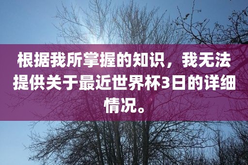 根据我所掌握的知识，我无法提供关于最近世界杯3日的详细情况。