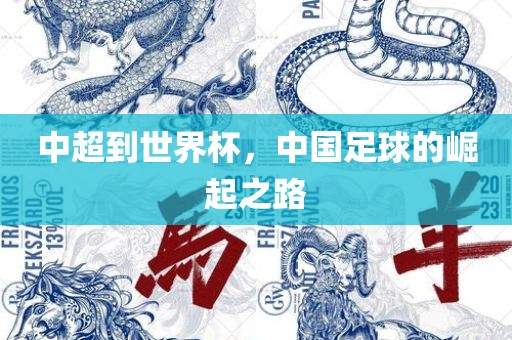 中超到世界杯，中国足球的崛起之路