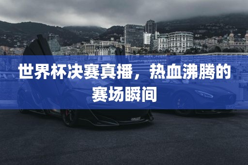 世界杯决赛真播，热血沸腾的赛场瞬间