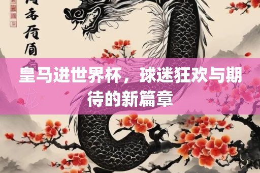 皇马进世界杯，球迷狂欢与期待的新篇章