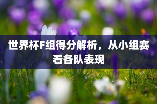 世界杯F组得分解析，从小组赛看各队表现