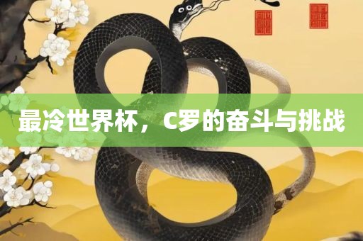 最冷世界杯，C罗的奋斗与挑战