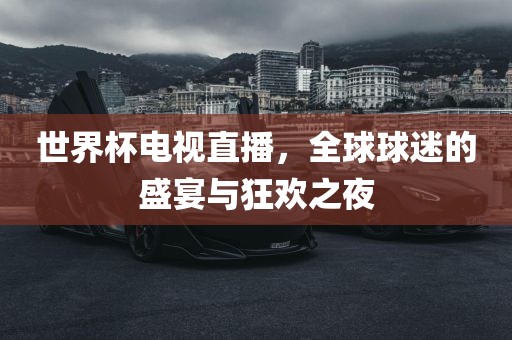 世界杯电视直播，全球球迷的盛宴与狂欢之夜