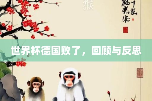 世界杯德国败了，回顾与反思