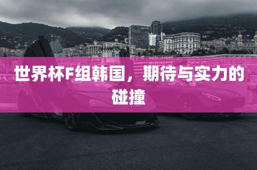 世界杯F组韩国，期待与实力的碰撞