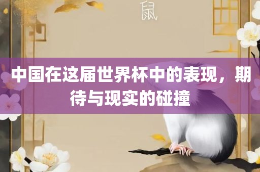 中国在这届世界杯中的表现，期待与现实的碰撞