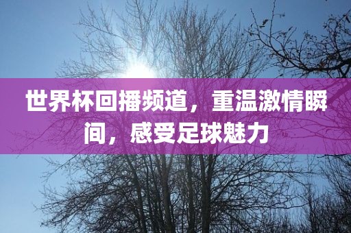 世界杯回播频道，重温激情瞬间，感受足球魅力