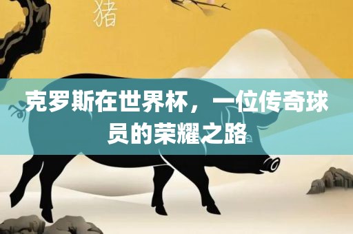 克罗斯在世界杯，一位传奇球员的荣耀之路