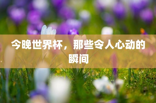 今晚世界杯，那些令人心动的瞬间