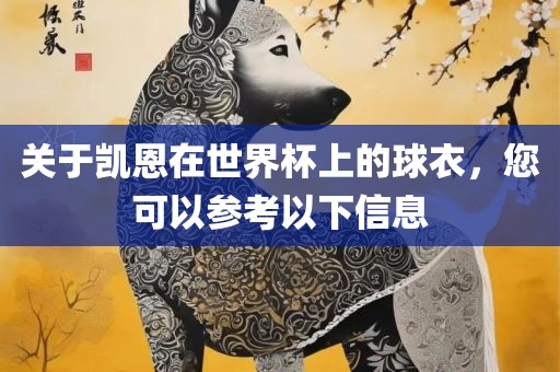 关于凯恩在世界杯上的球衣，您可以参考以下信息