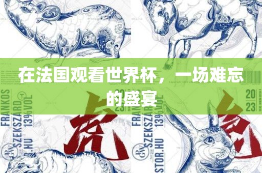 在法国观看世界杯，一场难忘的盛宴