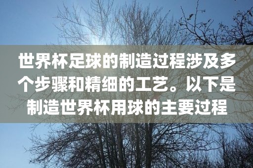 世界杯足球的制造过程涉及多个步骤和精细的工艺。以下是制造世界杯用球的主要过程