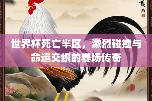 世界杯死亡半区，激烈碰撞与命运交织的赛场传奇
