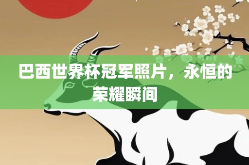 巴西世界杯冠军照片，永恒的荣耀瞬间