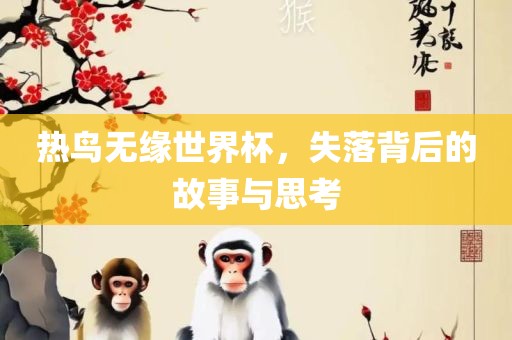 热鸟无缘世界杯，失落背后的故事与思考