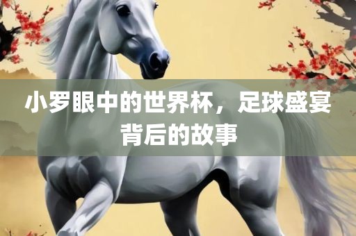 小罗眼中的世界杯，足球盛宴背后的故事