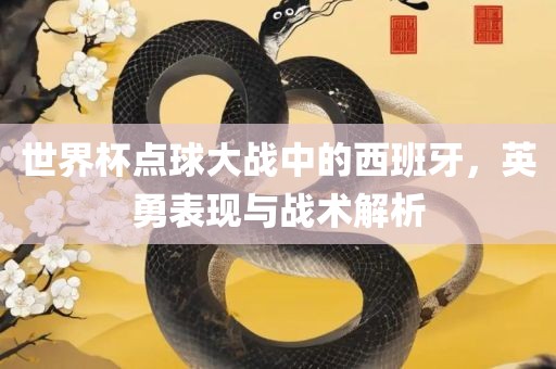 世界杯点球大战中的西班牙，英勇表现与战术解析