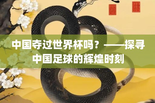 中国夺过世界杯吗？——探寻中国足球的辉煌时刻