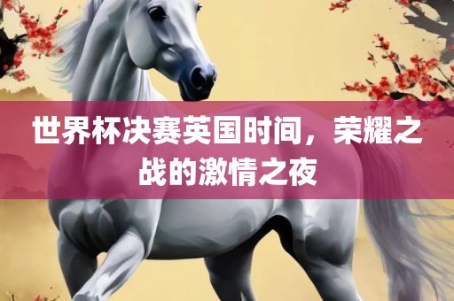 世界杯决赛英国时间，荣耀之战的激情之夜