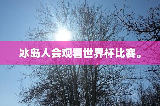 冰岛人会观看世界杯比赛。