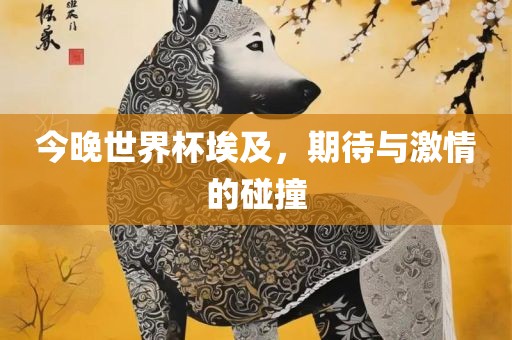 今晚世界杯埃及，期待与激情的碰撞