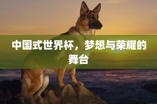 中国式世界杯，梦想与荣耀的舞台