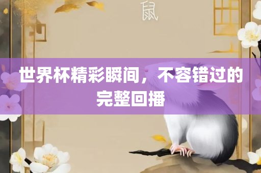 世界杯精彩瞬间，不容错过的完整回播