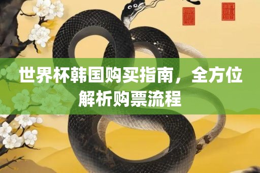 世界杯韩国购买指南，全方位解析购票流程