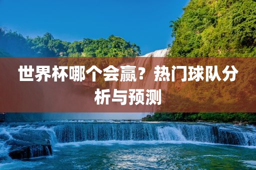 世界杯哪个会赢？热门球队分析与预测
