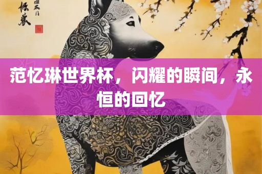 范忆琳世界杯，闪耀的瞬间，永恒的回忆