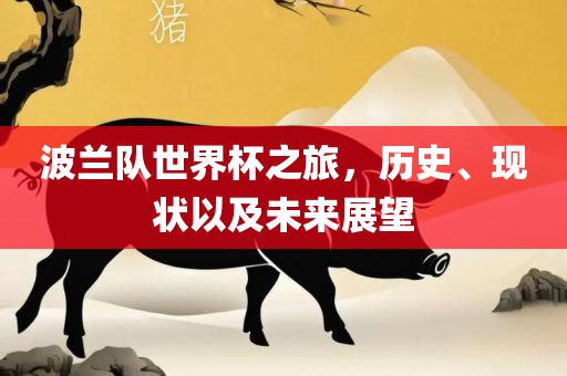 波兰队世界杯之旅，历史、现状以及未来展望