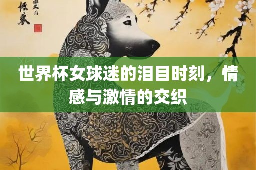 世界杯女球迷的泪目时刻，情感与激情的交织