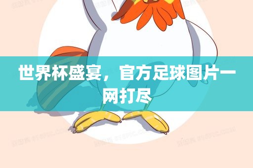 世界杯盛宴，官方足球图片一网打尽