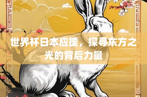 世界杯日本应援，探寻东方之光的背后力量