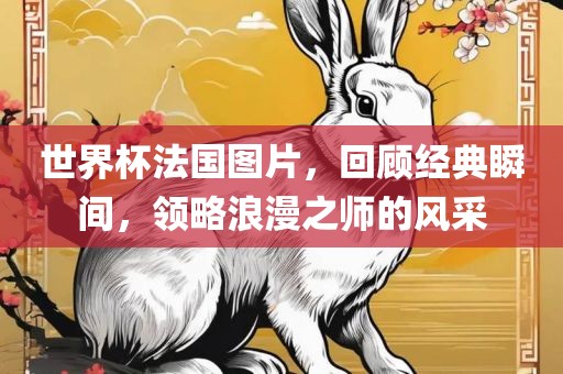 世界杯法国图片，回顾经典瞬间，领略浪漫之师的风采
