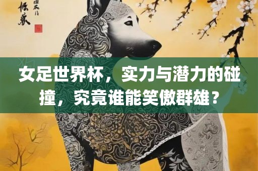 女足世界杯，实力与潜力的碰撞，究竟谁能笑傲群雄？