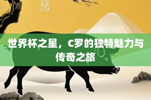 世界杯之星，C罗的独特魅力与传奇之旅