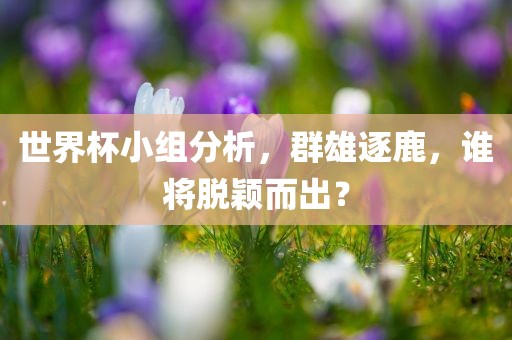 世界杯小组分析，群雄逐鹿，谁将脱颖而出？