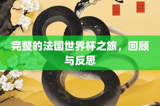 完整的法国世界杯之旅，回顾与反思