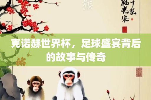 克诺赫世界杯，足球盛宴背后的故事与传奇